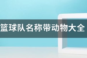 篮球训练动作的可爱名字